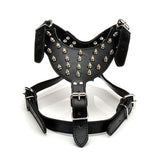 Dog Harnesses with PU Collar and Punk Rivet Pet Outdoor Collar Cool Style For Small Large Dog Rivets harness set Dog Accessories