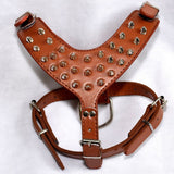 Dog Harnesses with PU Collar and Punk Rivet Pet Outdoor Collar Cool Style For Small Large Dog Rivets harness set Dog Accessories